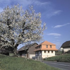 Litzisdorf Käserei