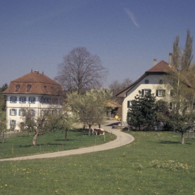 Schloss in Litzistorf