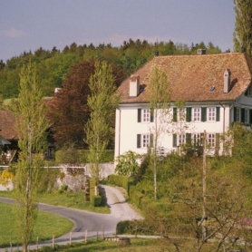 Schloss in Richterswil