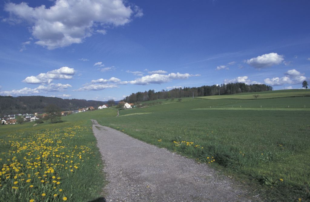 Tuftera Frühling 2001