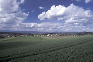 Panoramas