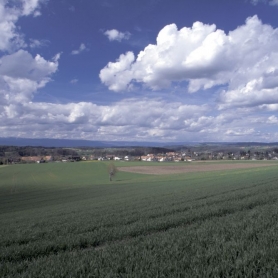 Bösingen Frühling 2001
