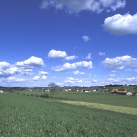 Fendringen Frühling 2001