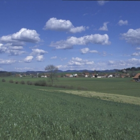 Fendringen II Frühling 2001
