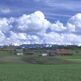 Litzistorf Frühling 2001