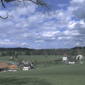 Litzistorf II Frühling 2001