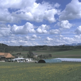 Litzistorf III Frühling 2001