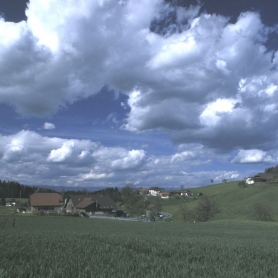 Riederberg Frühling 2001