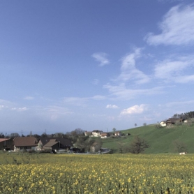 Riederberg Frühling 2004