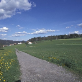 Tuftera Frühling 2001