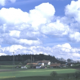 Vogelshaus Frühling 2001